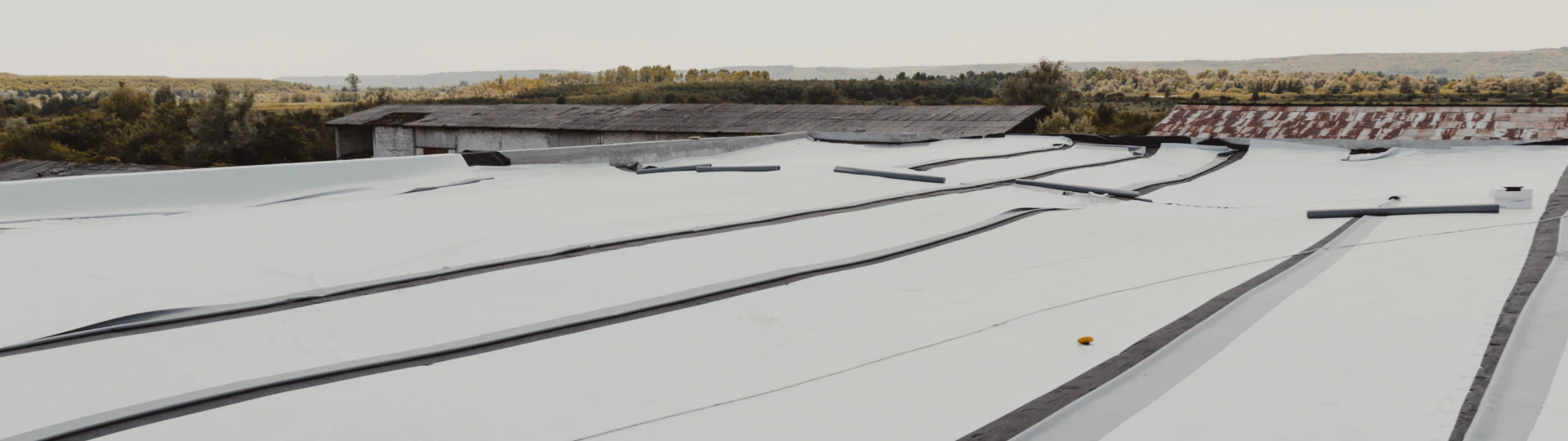 Roof Coatings breadcrumb